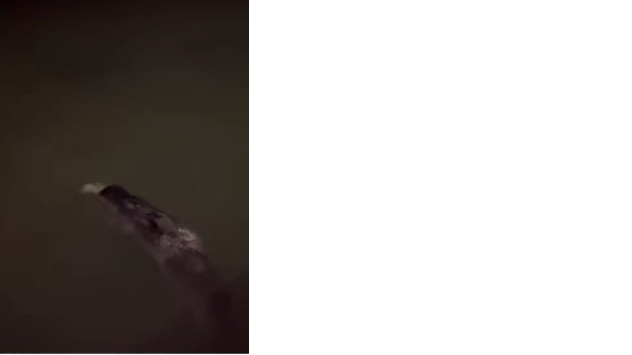 Bir Başlık Ekleyin (2)-451