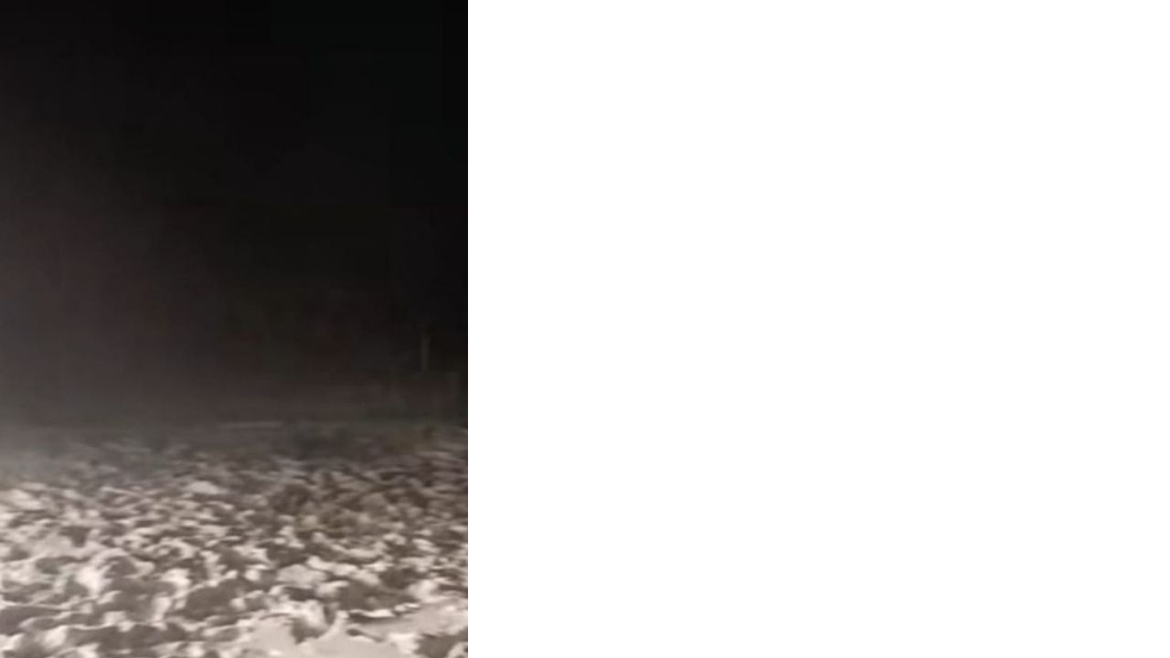 Bir Başlık Ekleyin (3)-332