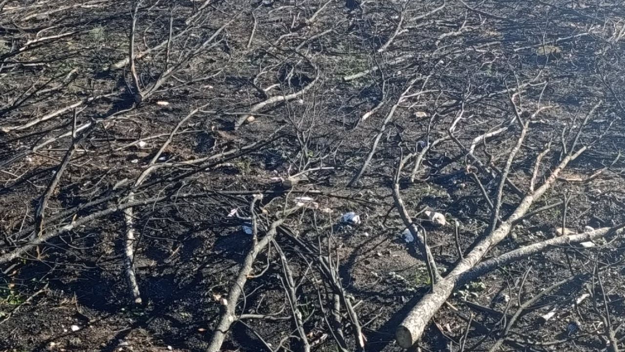 Bir Başlık Ekleyin (3)-337