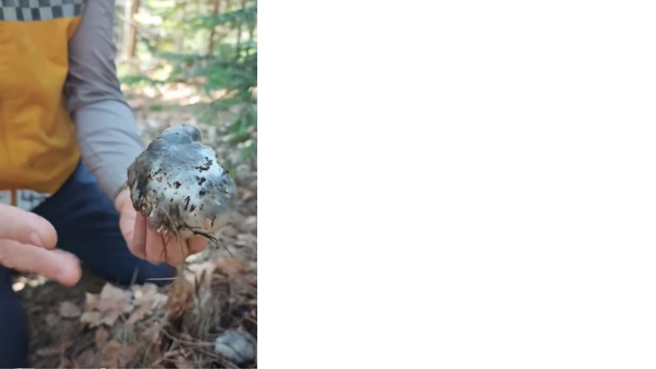 Bir Başlık Ekleyin (3)-348