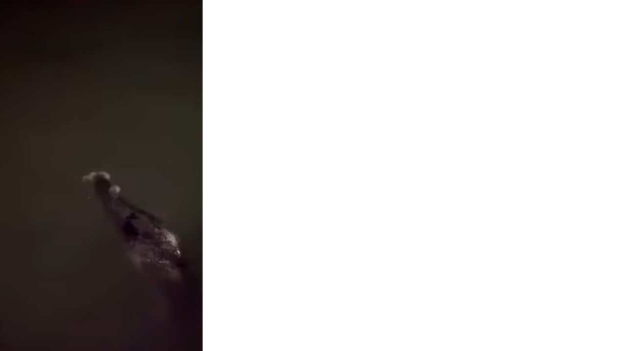 Bir Başlık Ekleyin (3)-353