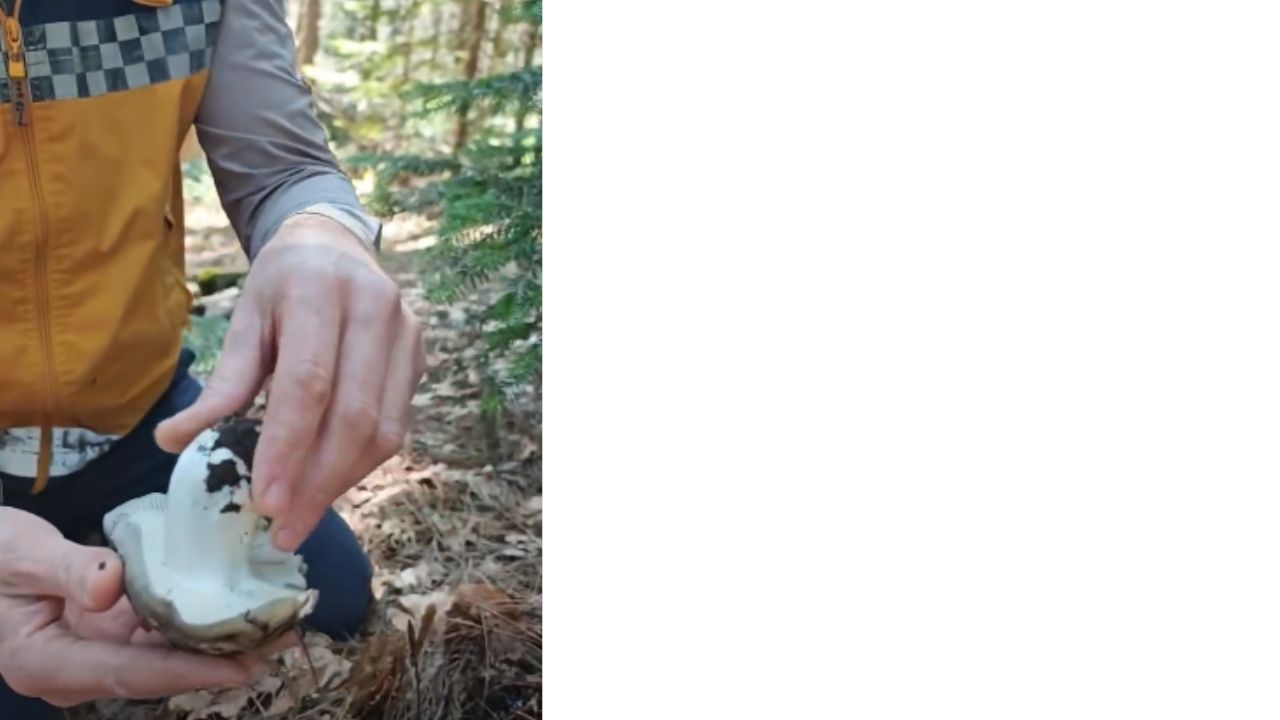 Bir Başlık Ekleyin (4)-295