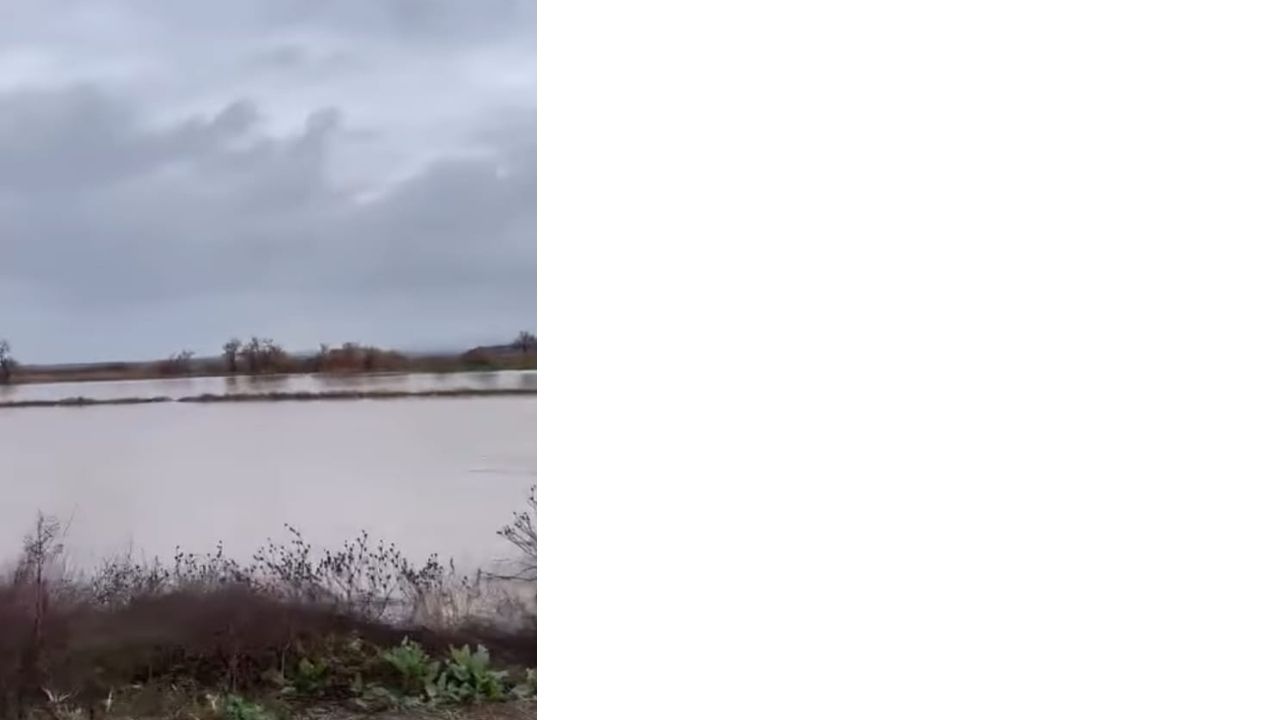 Bir Başlık Ekleyin (5)-264