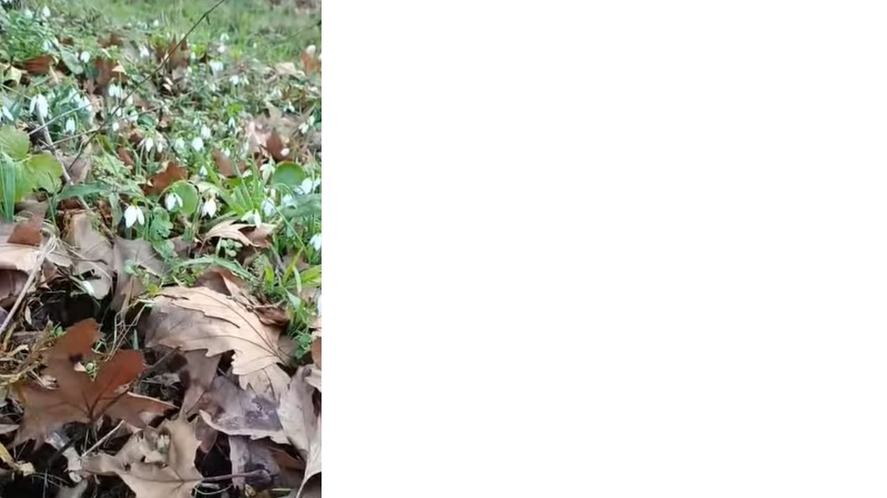 Bir Başlık Ekleyin (6)-209