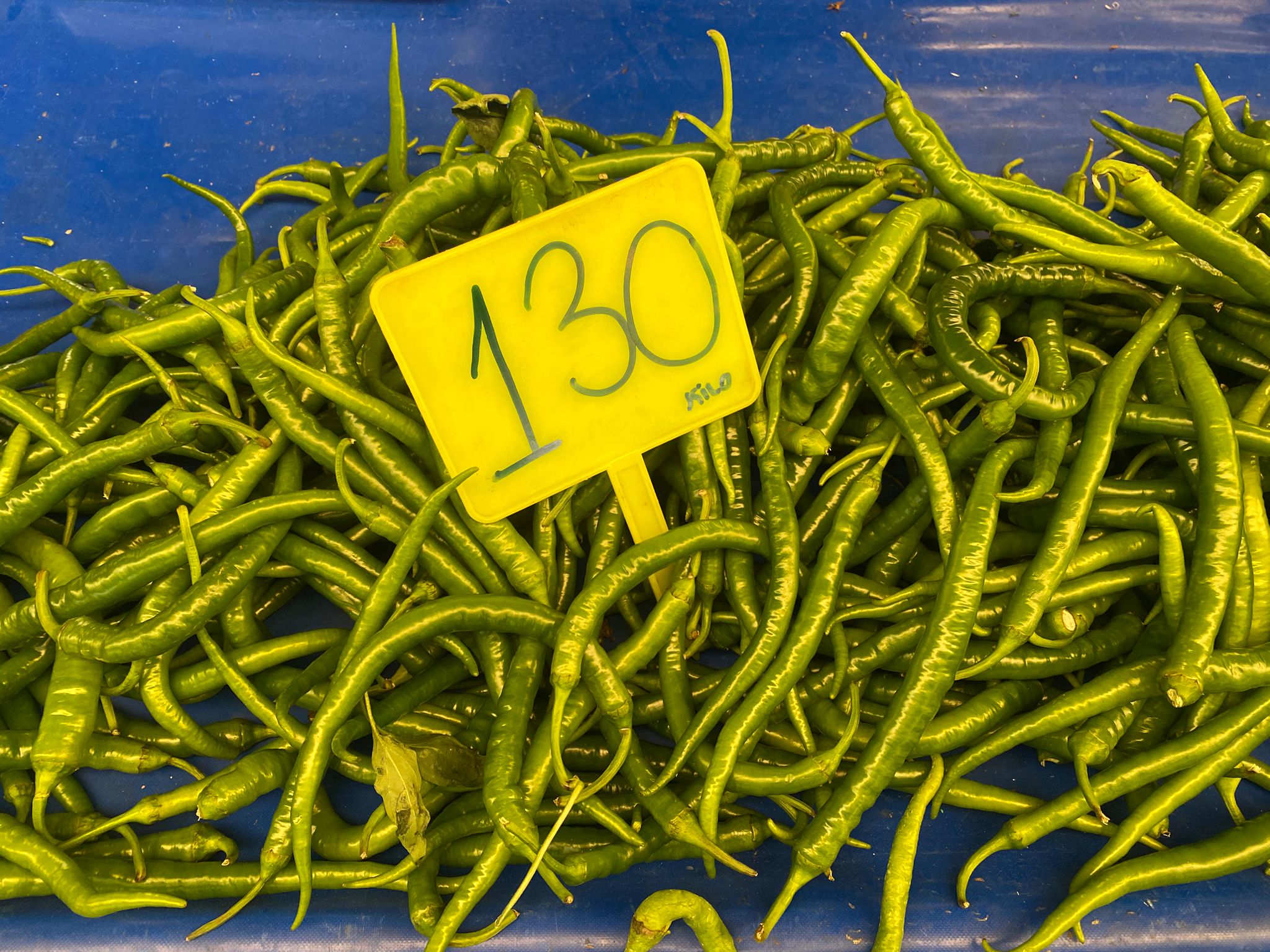 C2Cb77Ee 3C43 473D 97B0 Baf489C5Ec24