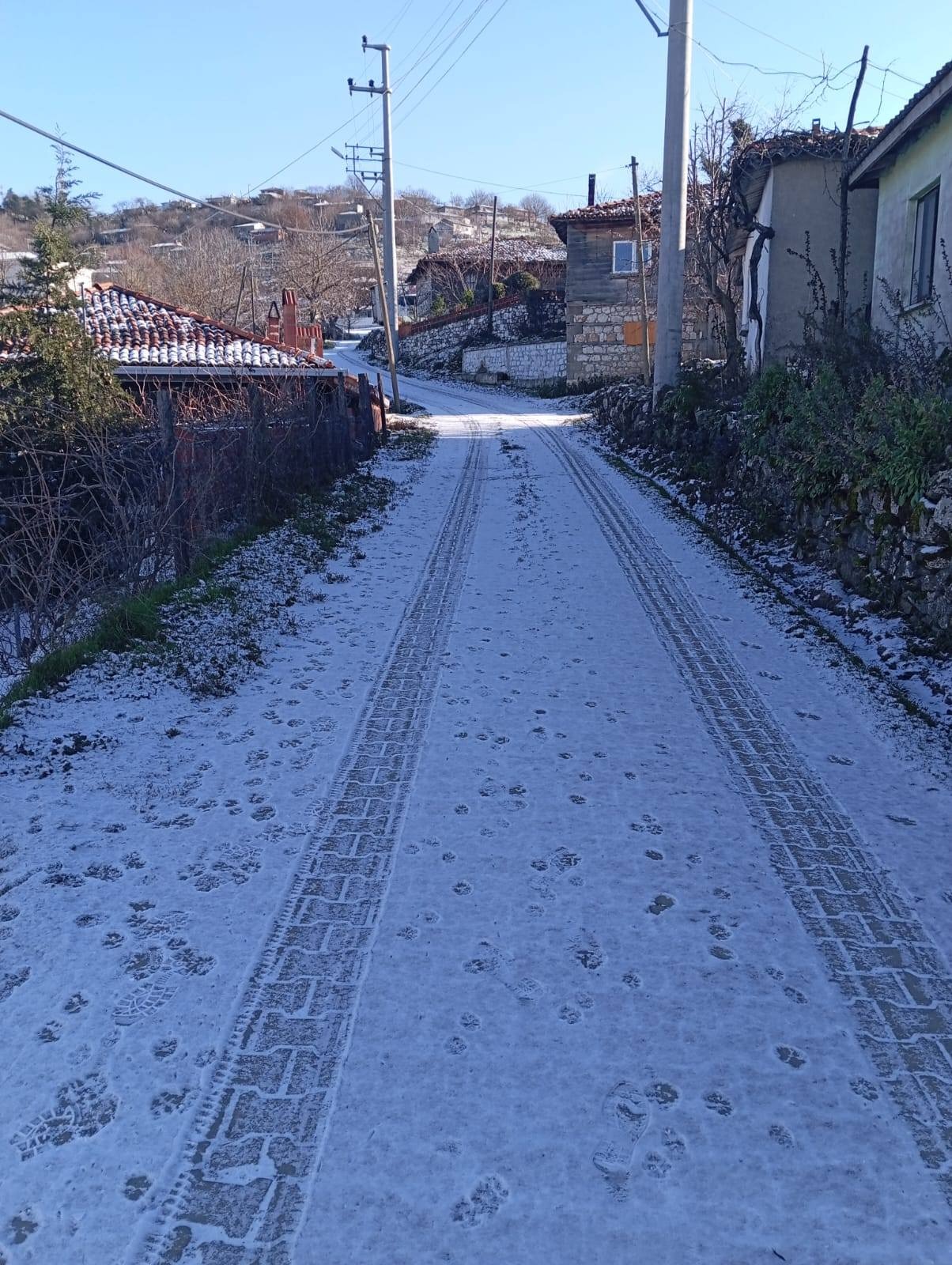 Cff2E0A0 Fad5 451F 90Bc 71A78Eace4A0