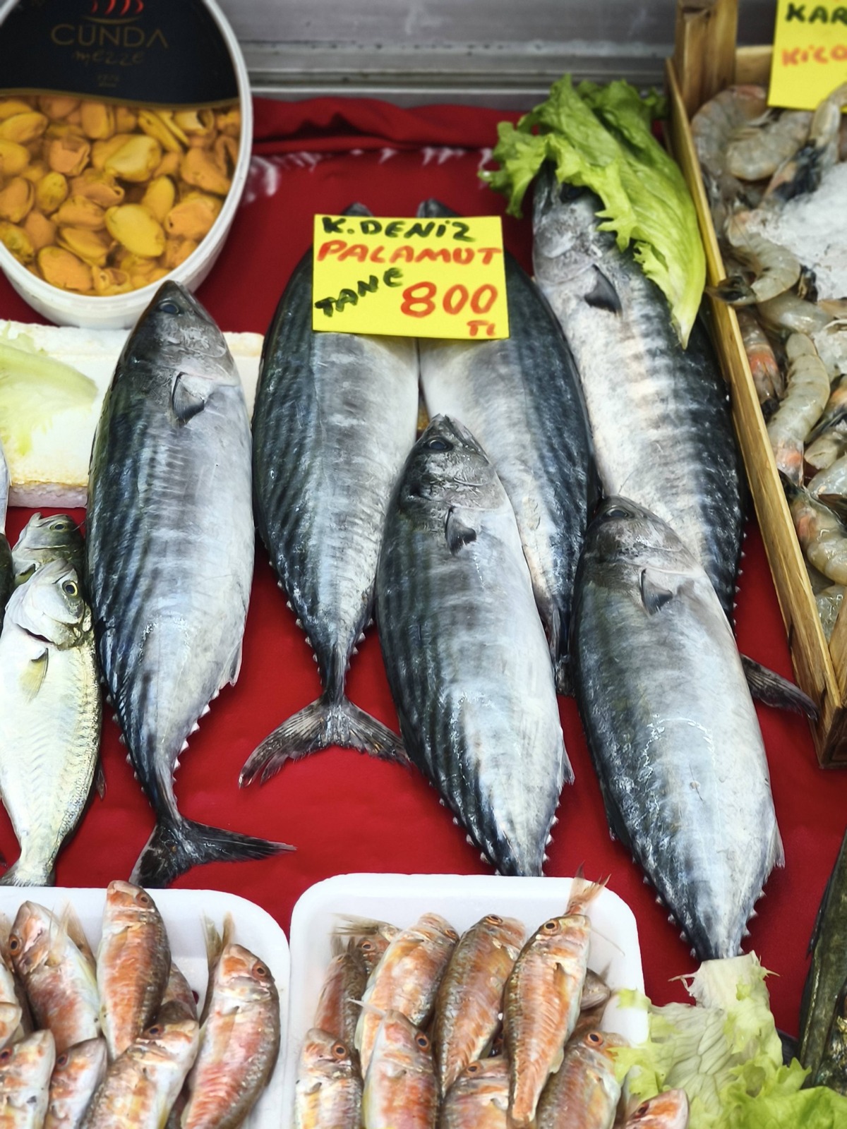 Dd4C0162 0B83 4687 Aa23 15Fed3094A8A