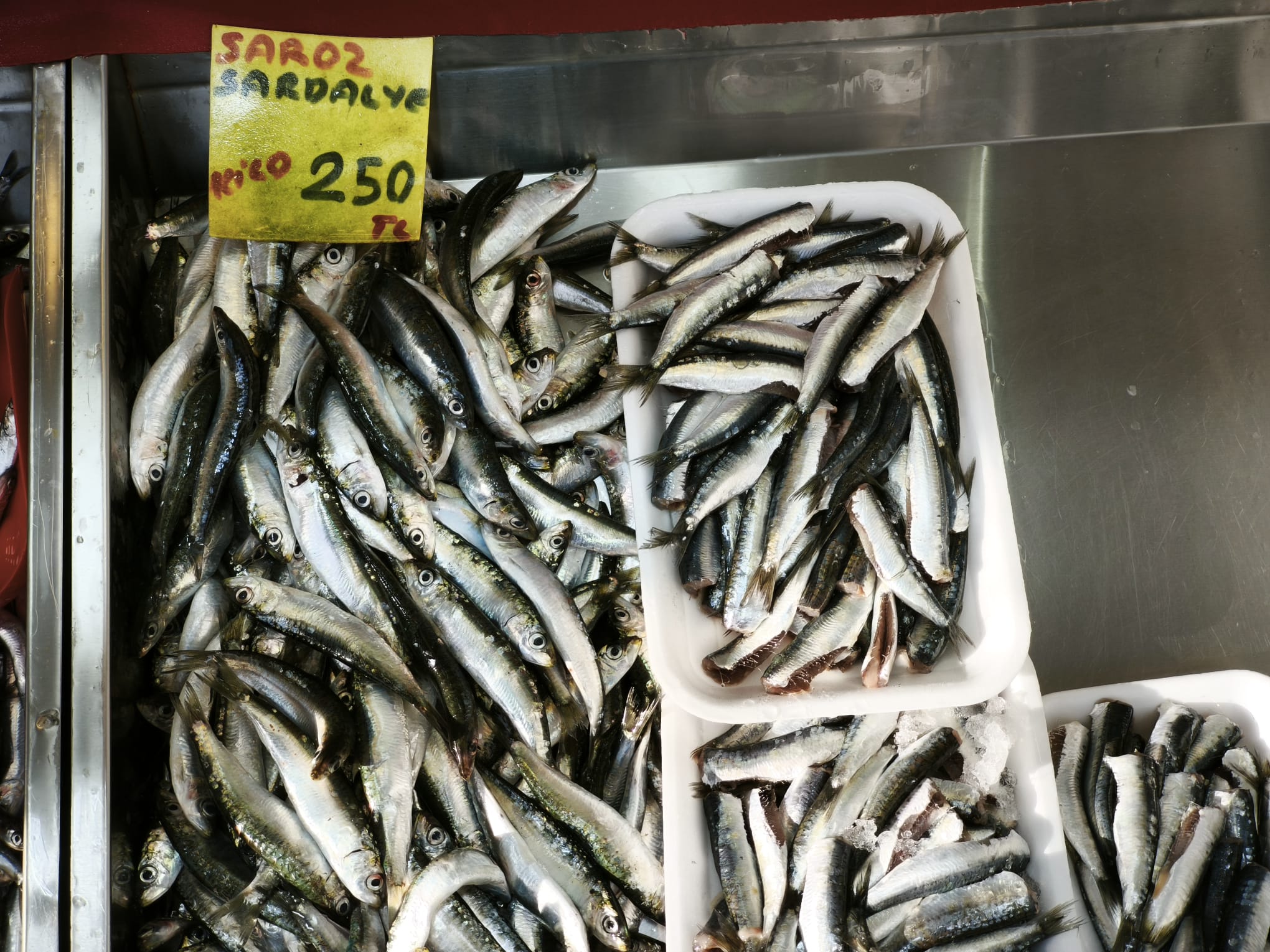 Ec984Eb1 5F6F 456B 8D4E 9Ccd68Ace760