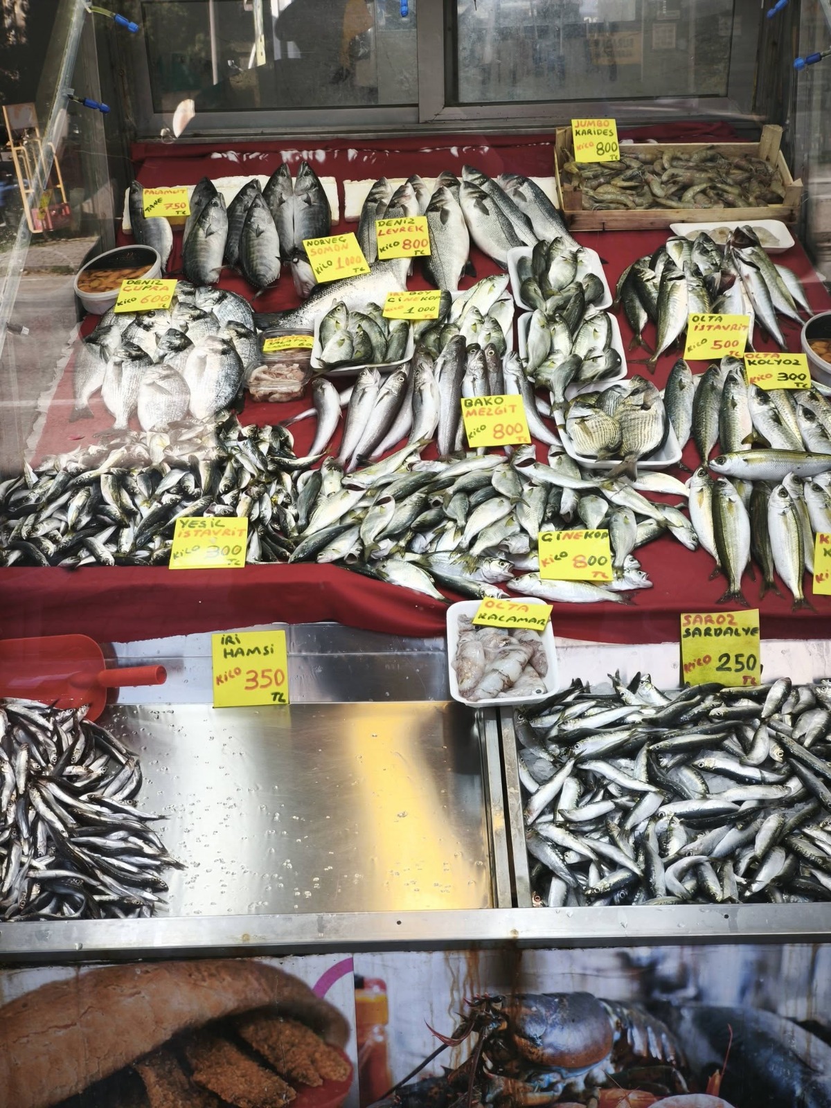 Ee4988A0 6B56 40D1 A35B 6134Ef80Ee3C