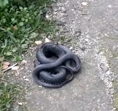 Ekran Görüntüsü 2026 01 04 171121