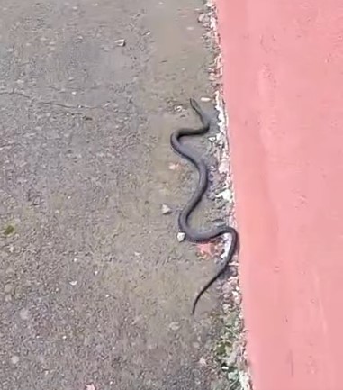 Ekran Görüntüsü 2026 01 04 171157