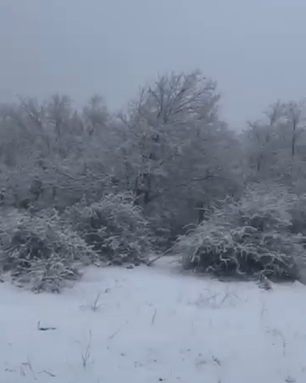 Ekran Görüntüsü 2026 01 11 172538