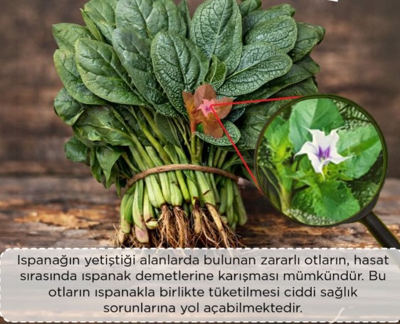 Ekran Görüntüsü 2026 01 14 134811