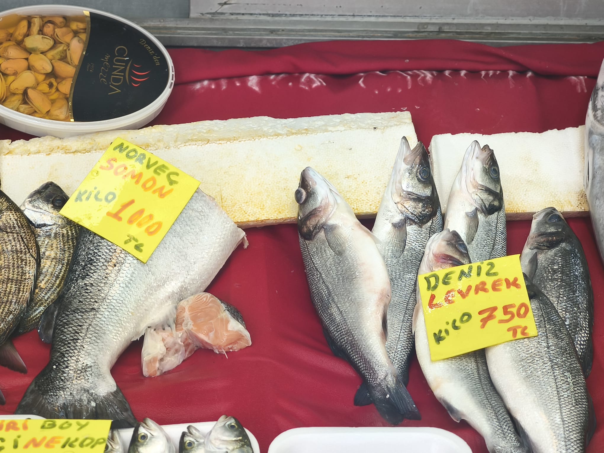 F49Bf66B 8E2D 421D Bddc 55F0B9Bce8E3