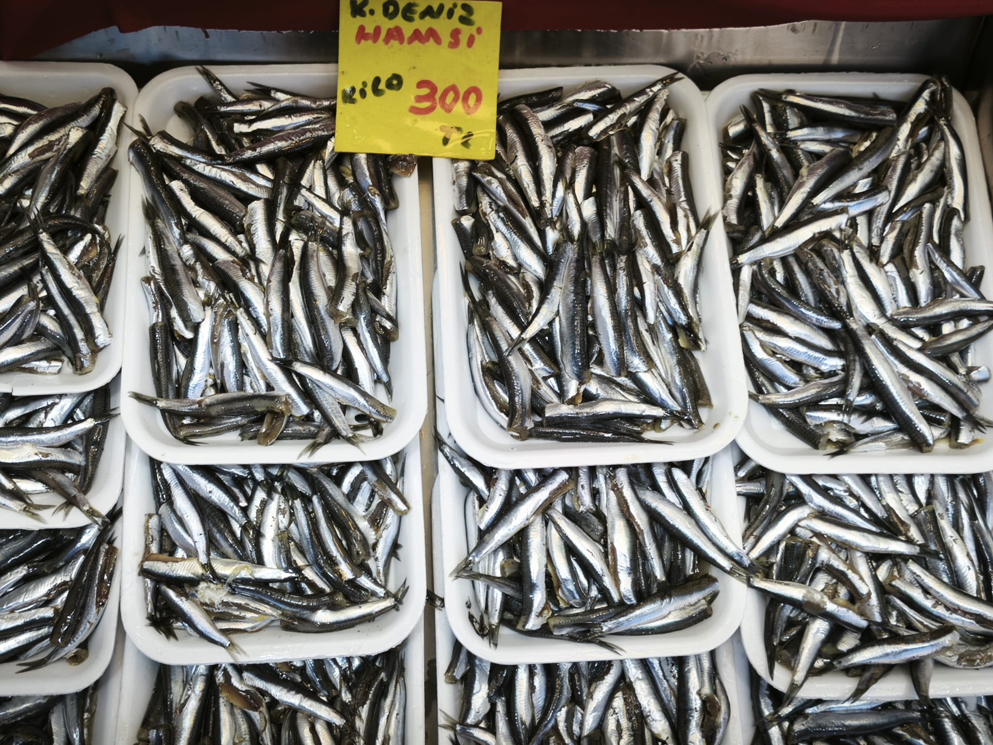 F5Aa0C8A Ed0E 42E6 B175 0Edd83401757