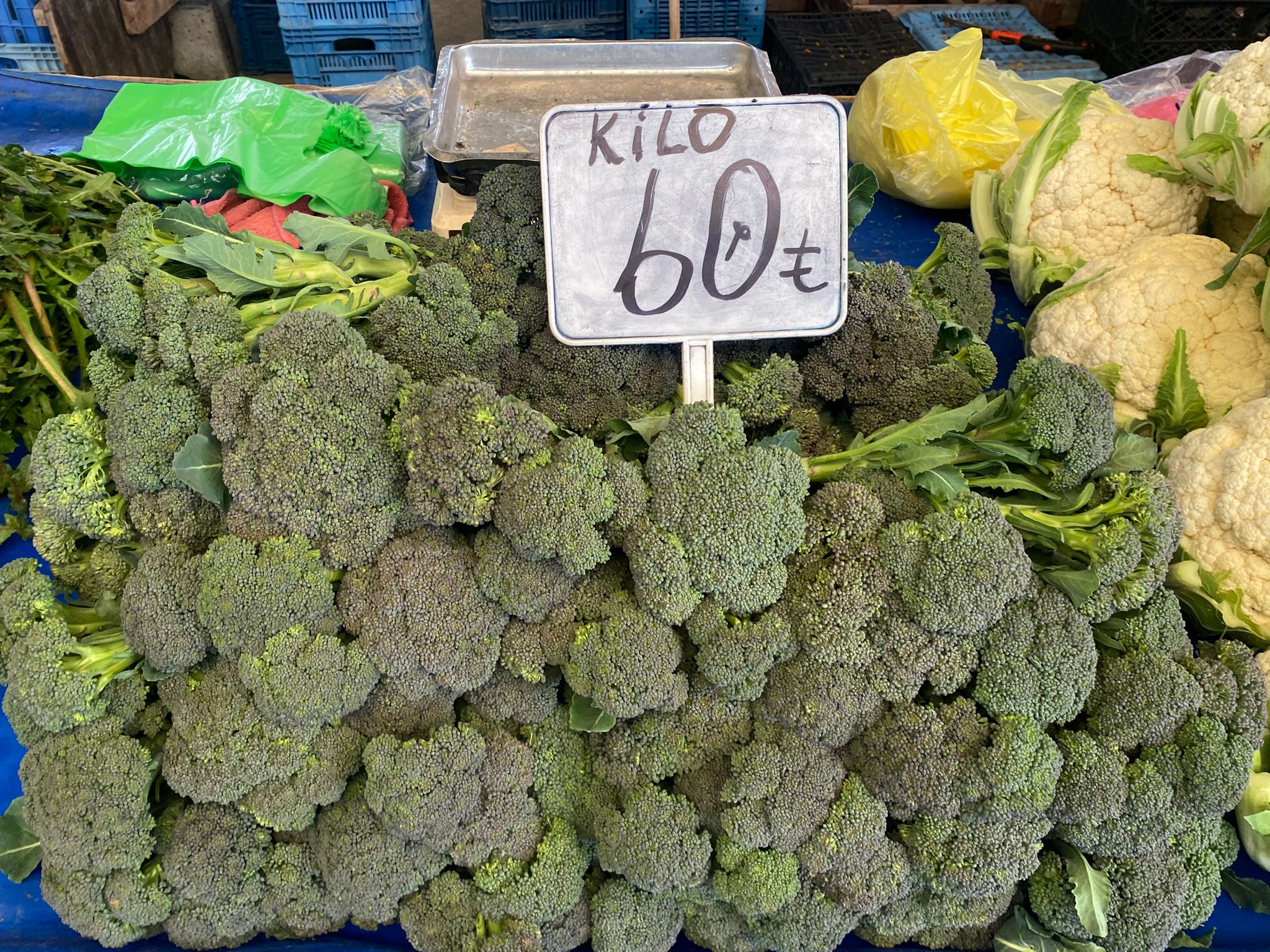 07152F42 2823 4173 Bb8E 6B8D93899Cb6