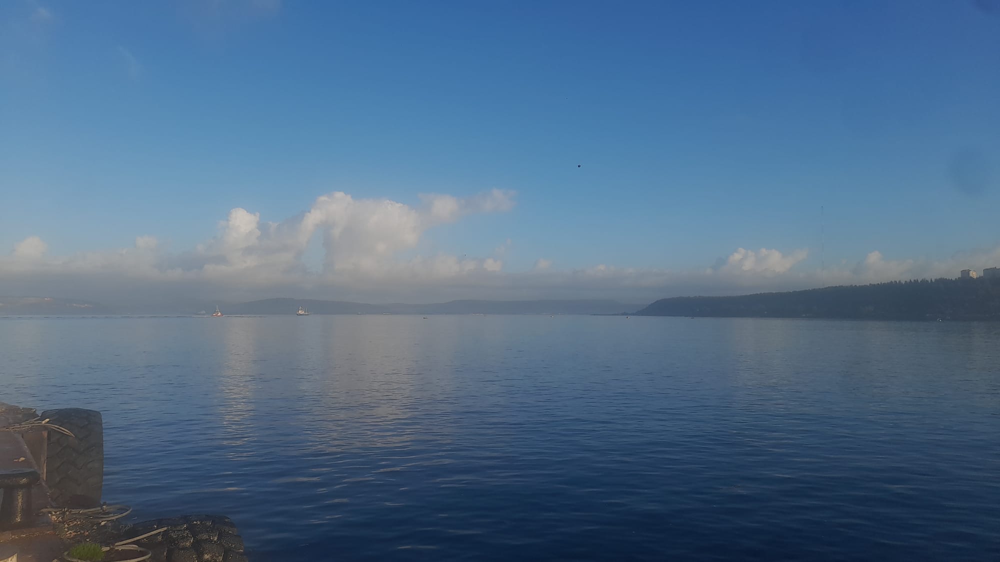 116Bad41 16F1 4C40 8B00 Dd4704De822B