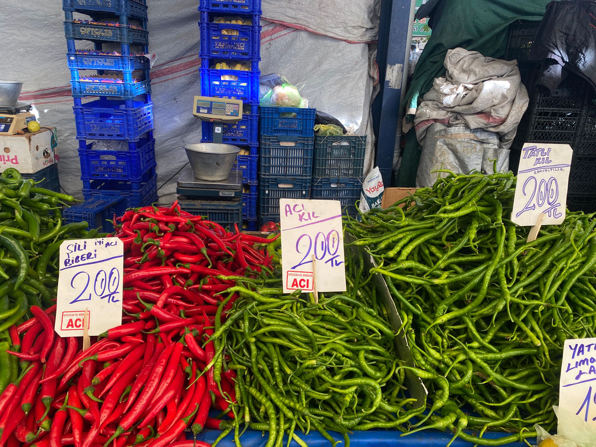 13Fcf083 2A55 4516 Ab40 C73E2512Baf5