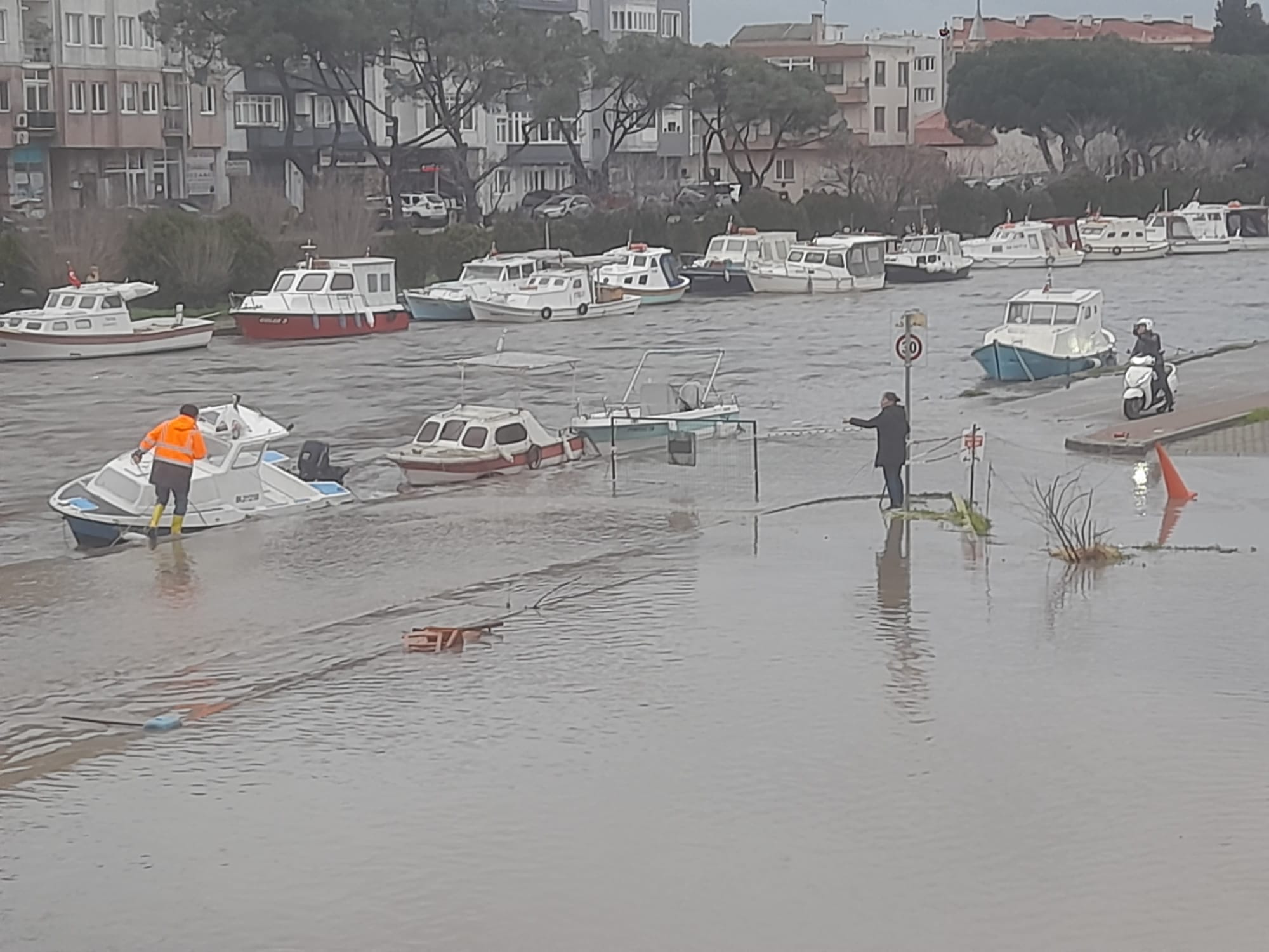 1Db0C411 1E4D 41B3 80Eb 23229F6F5D00