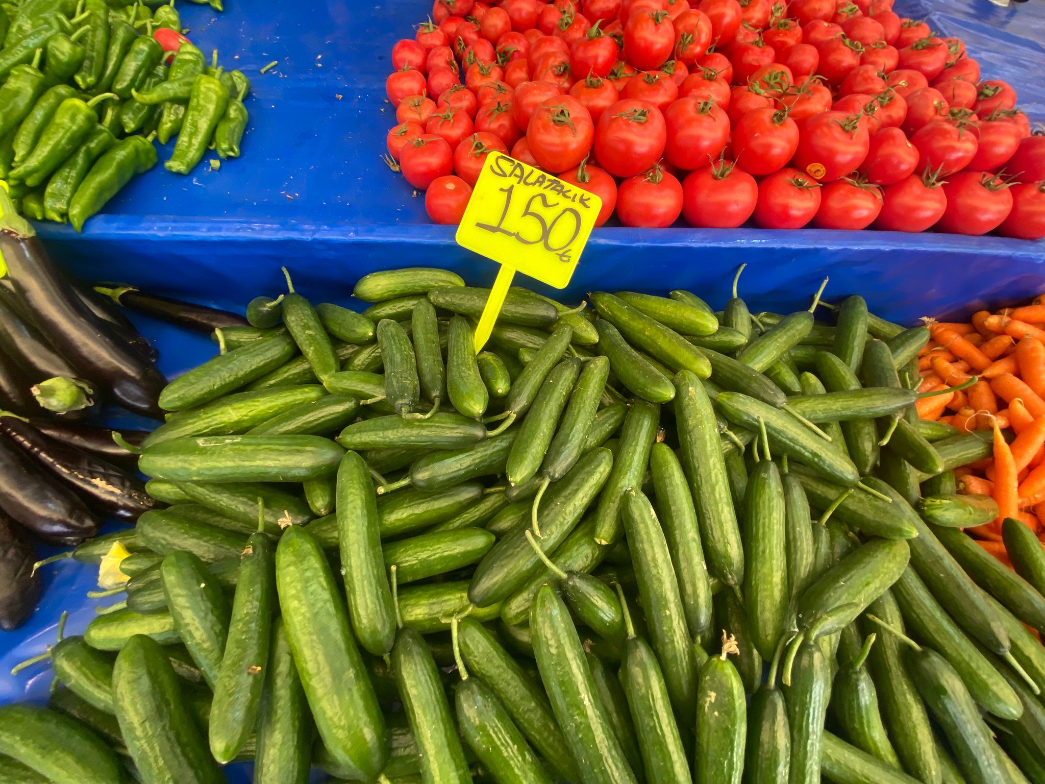 1E60784A 9A24 45D3 Afe0 0E403Aea1292