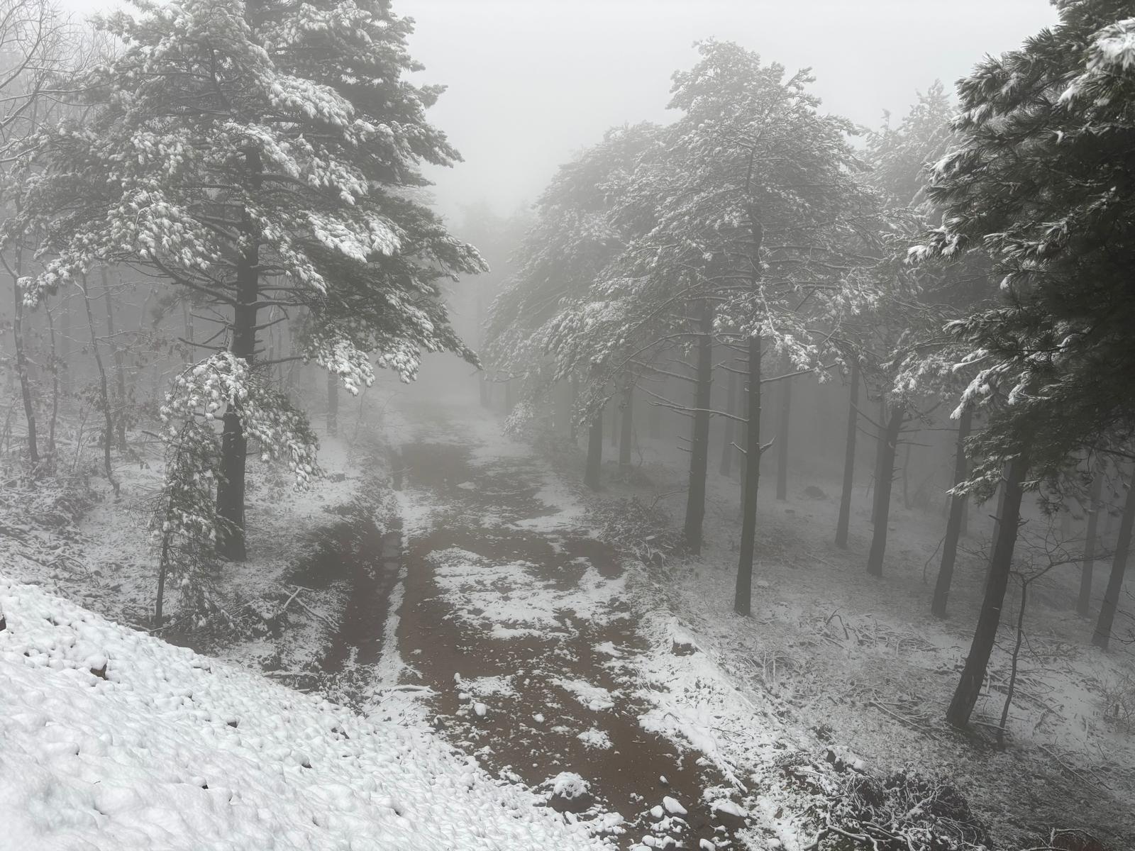 2109Fe62 D55A 4Adc Ade8 0Aec56132504