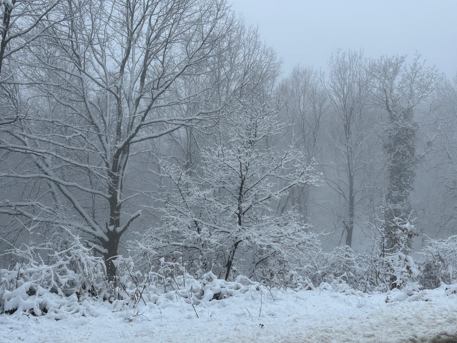 236Cb75D 749D 4258 A928 D5832F9Bb917