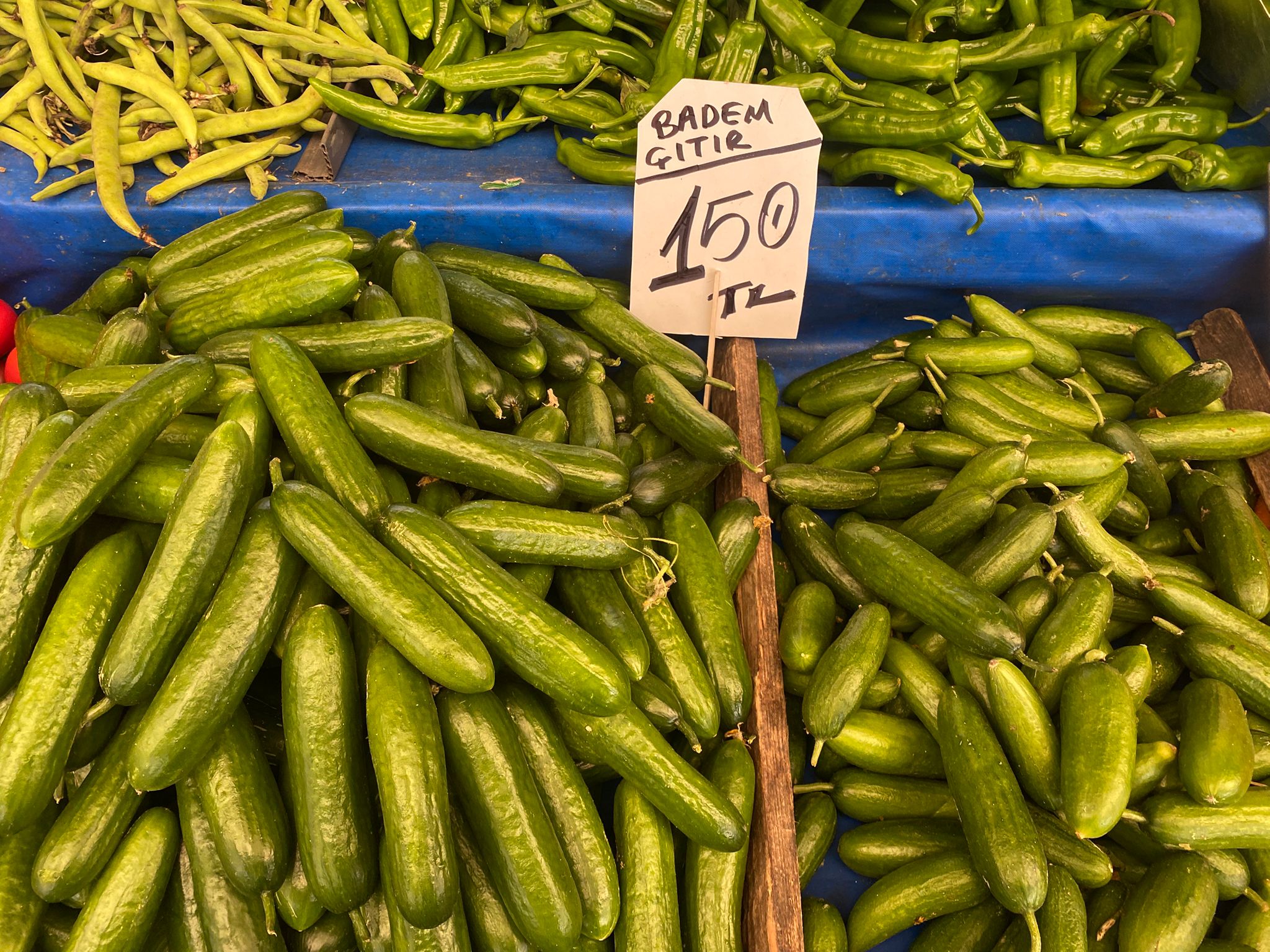 25C25C48 Eb11 4487 A3Ea 50022D6838F1