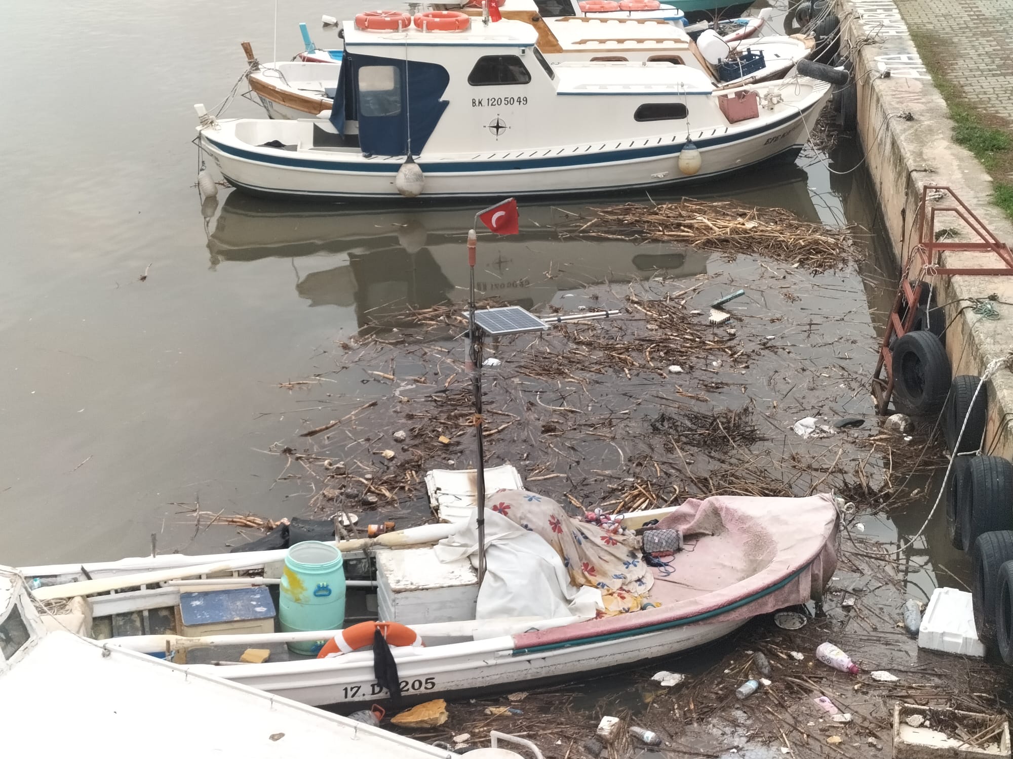 2E0Cc44F 6622 4331 8373 Ff2882E16D2C