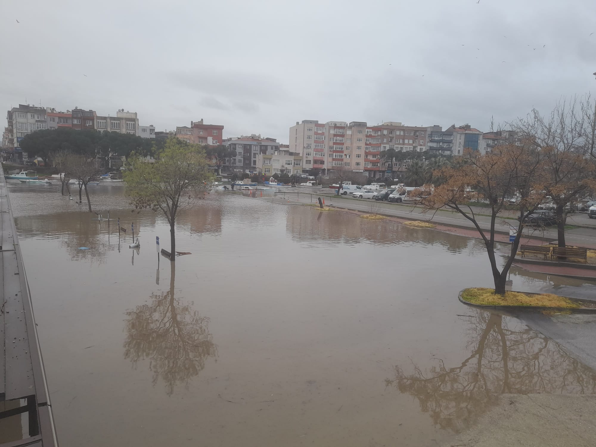 32Fdf6Fd 3A37 4Cd5 B7F8 D88589Ce62A4