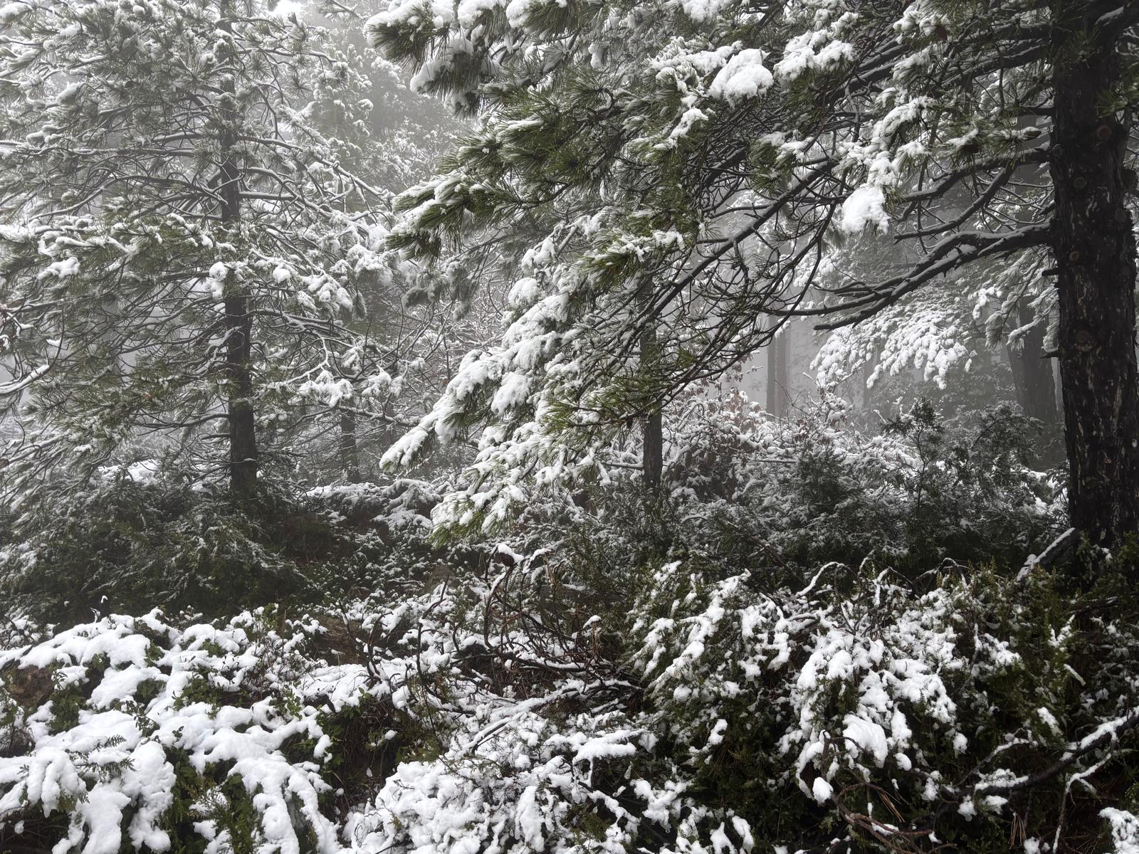 39893434 Daa7 44Be B820 7D3F3C11Ebdd