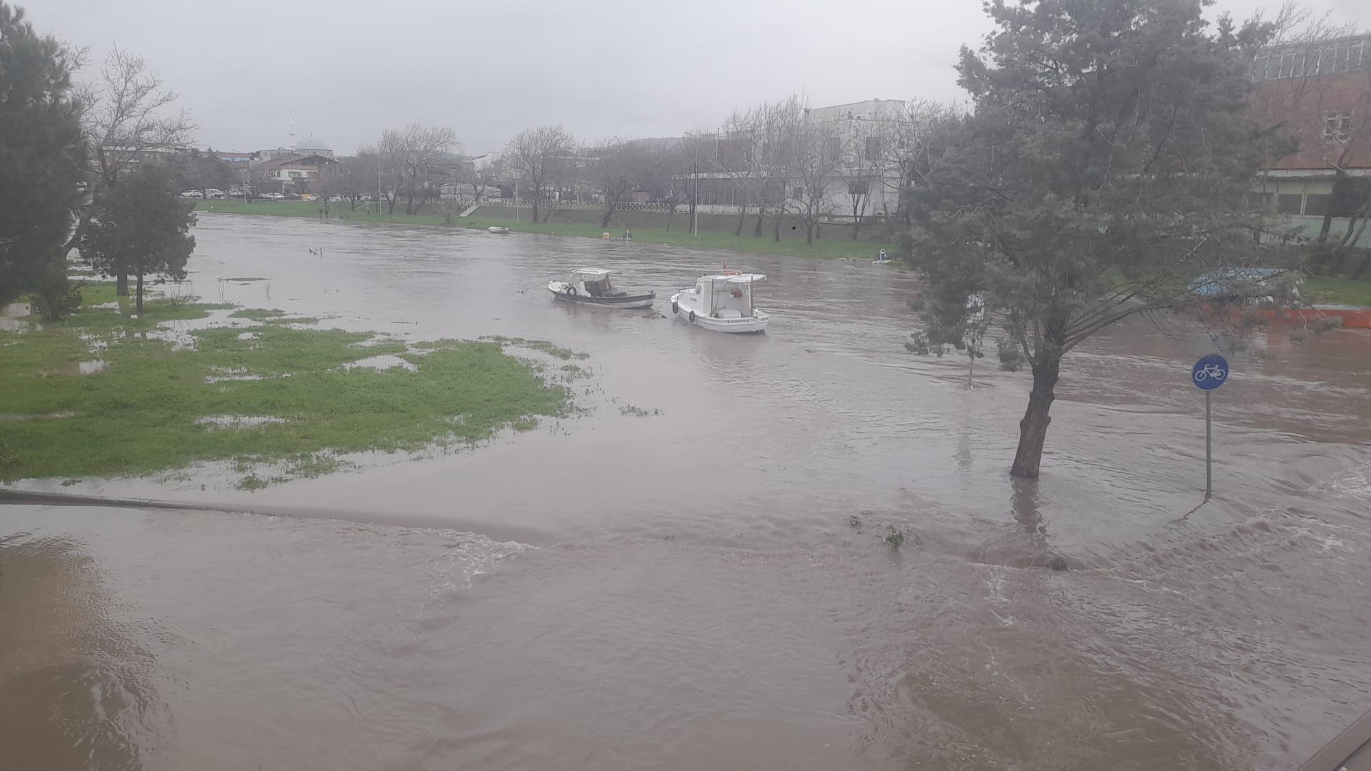 4E5A1384 7B81 4645 B179 7Dd1Aefa138F