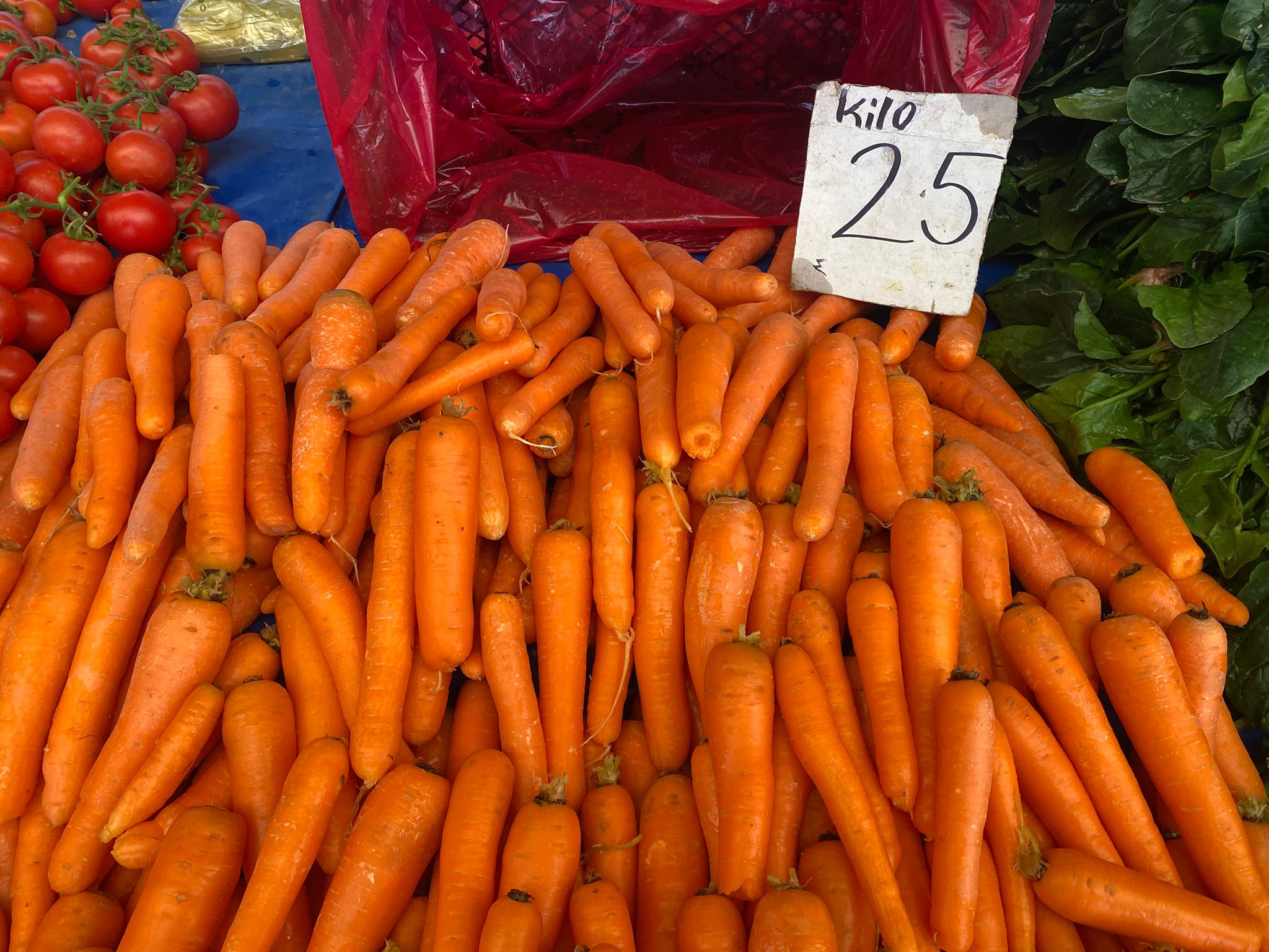 50806B92 2Afe 4Bf7 A6Af Ff19F4296D3A