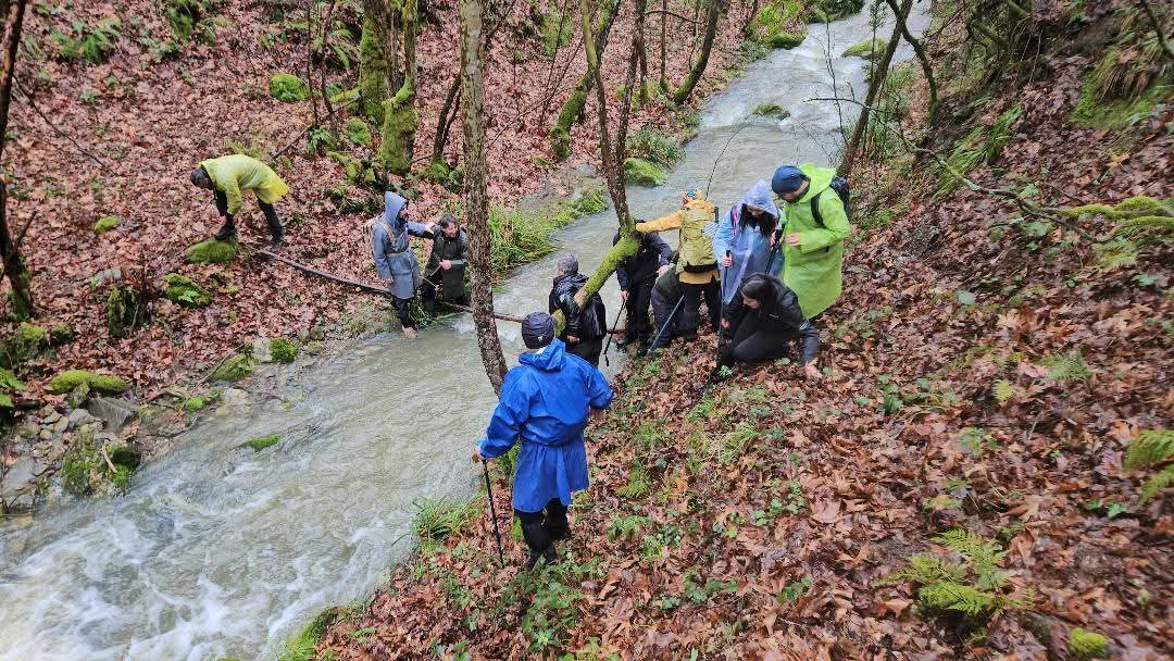 58E9Ddd0 4Ece 45D0 9505 Cecec304D04A