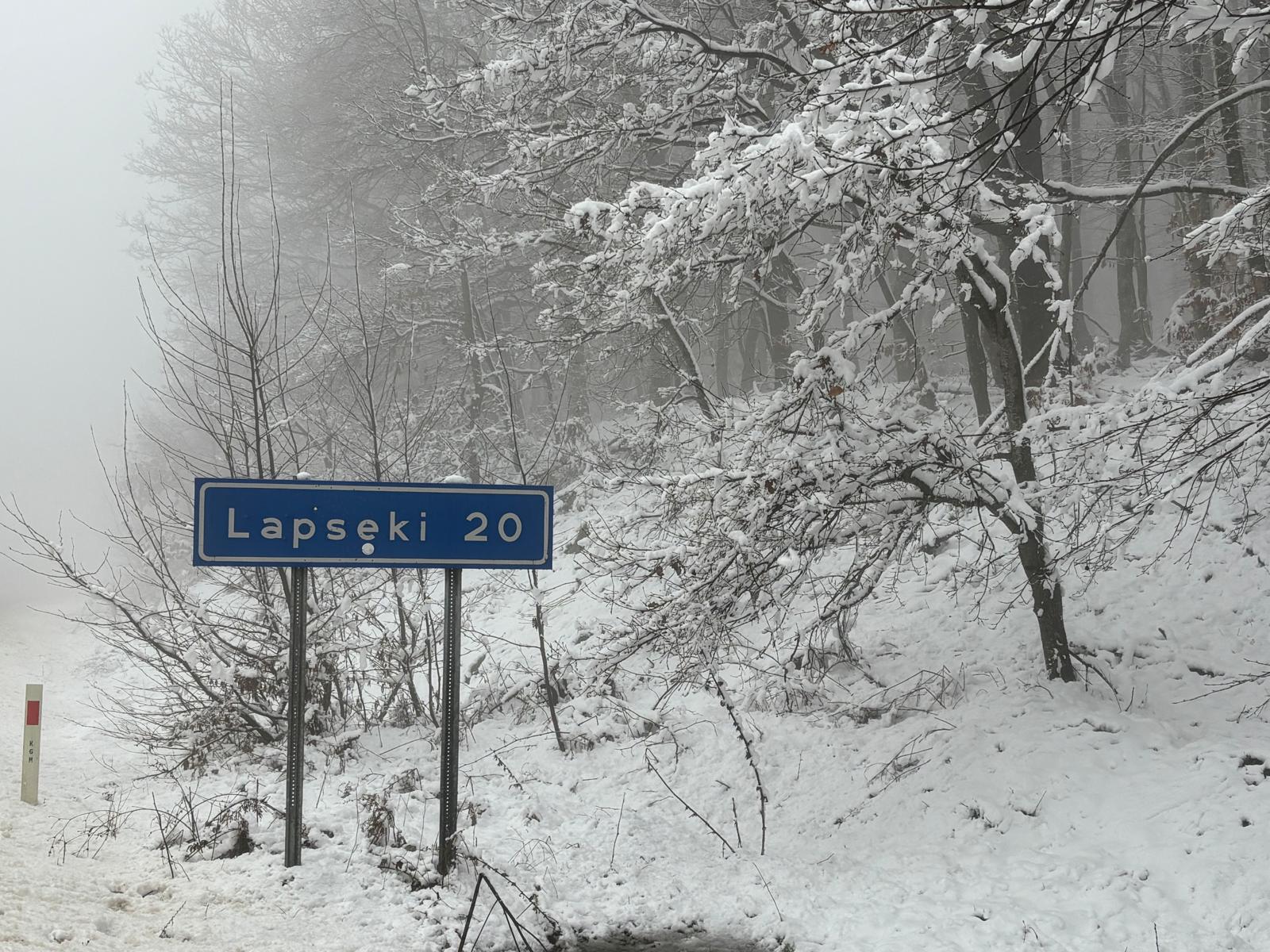 62802D91 0Ef7 49Fa 916E 02E0C5447Ff7