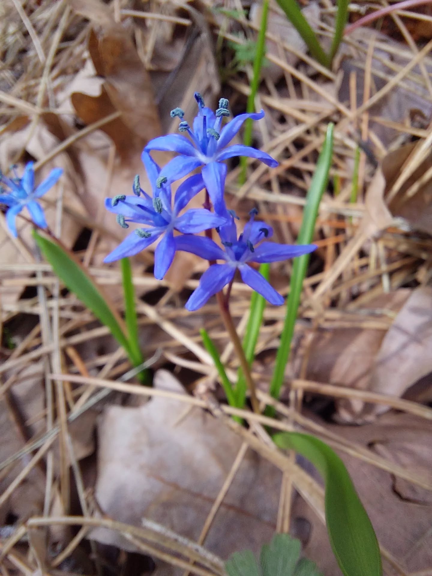 629544541 18570415972039216 4075580638275844434 N