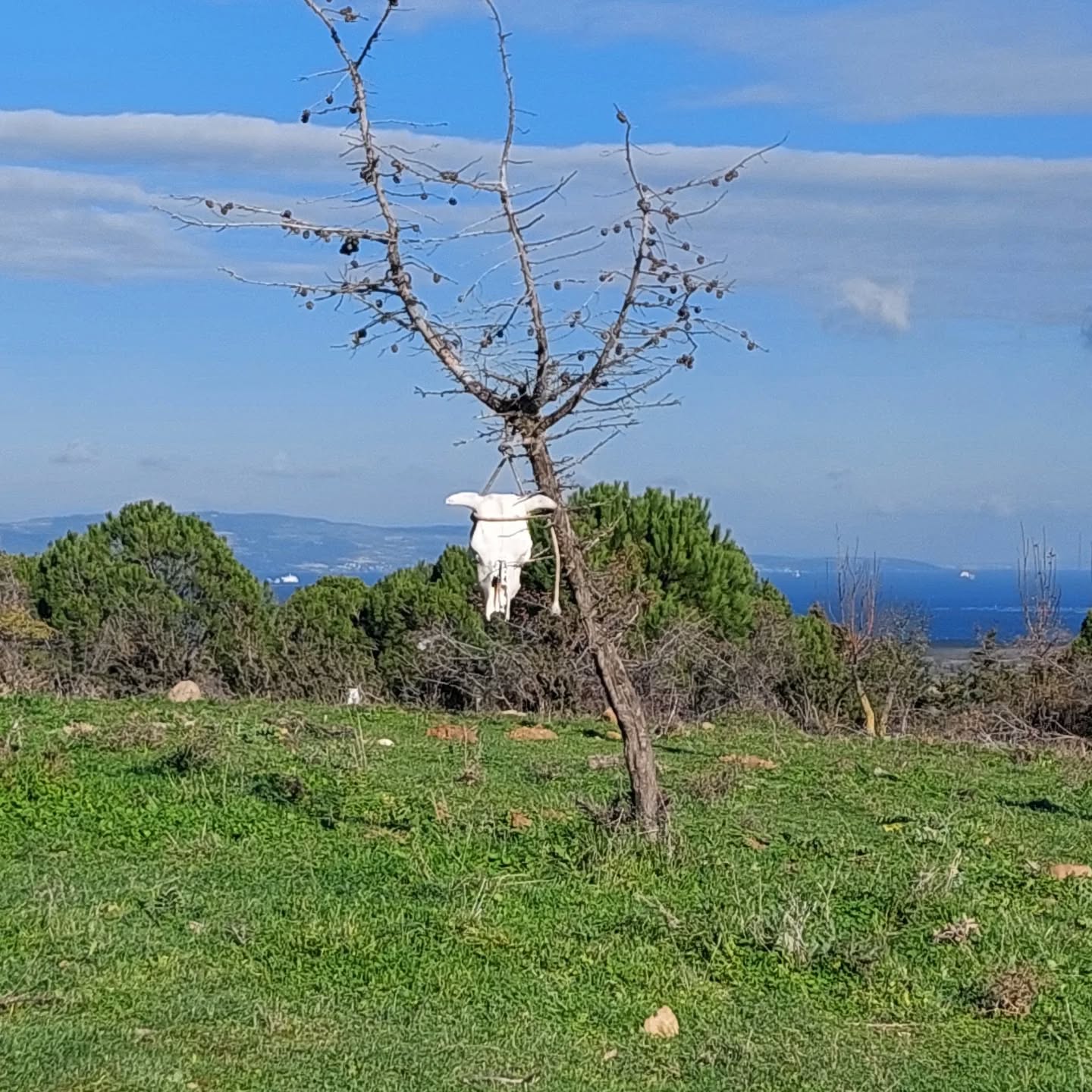 632108637 18568351681039216 6745324864582189151 N