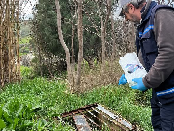 632736454 18390867154196502 51434191772040362 N