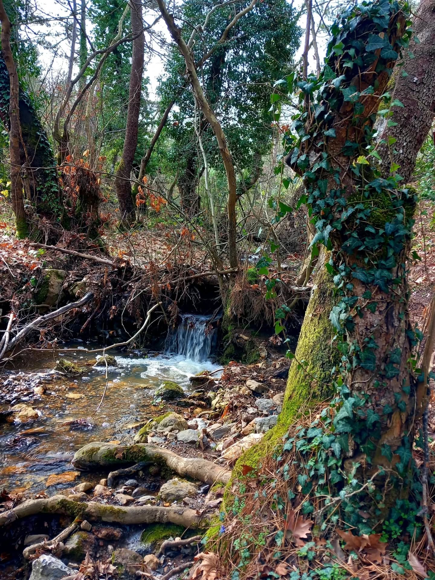 633648063 18570415993039216 3912995136938714661 N