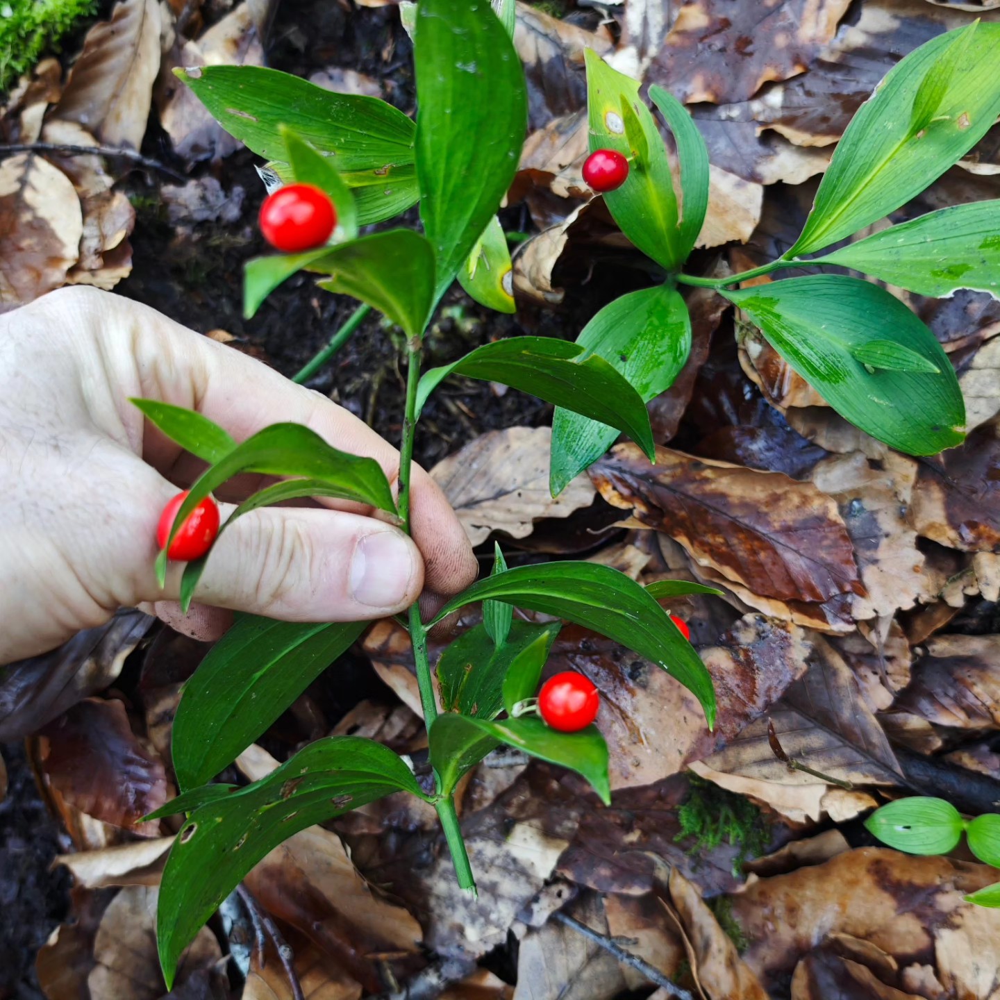 634150396 10226840898603331 5521033006591019375 N