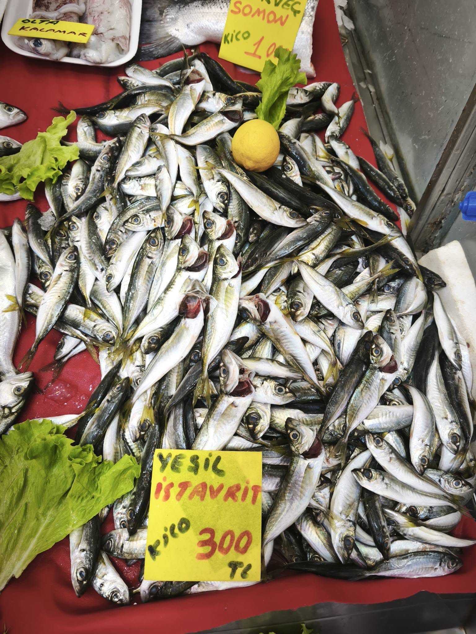 634767824 1263835985880568 4873493175231758066 N