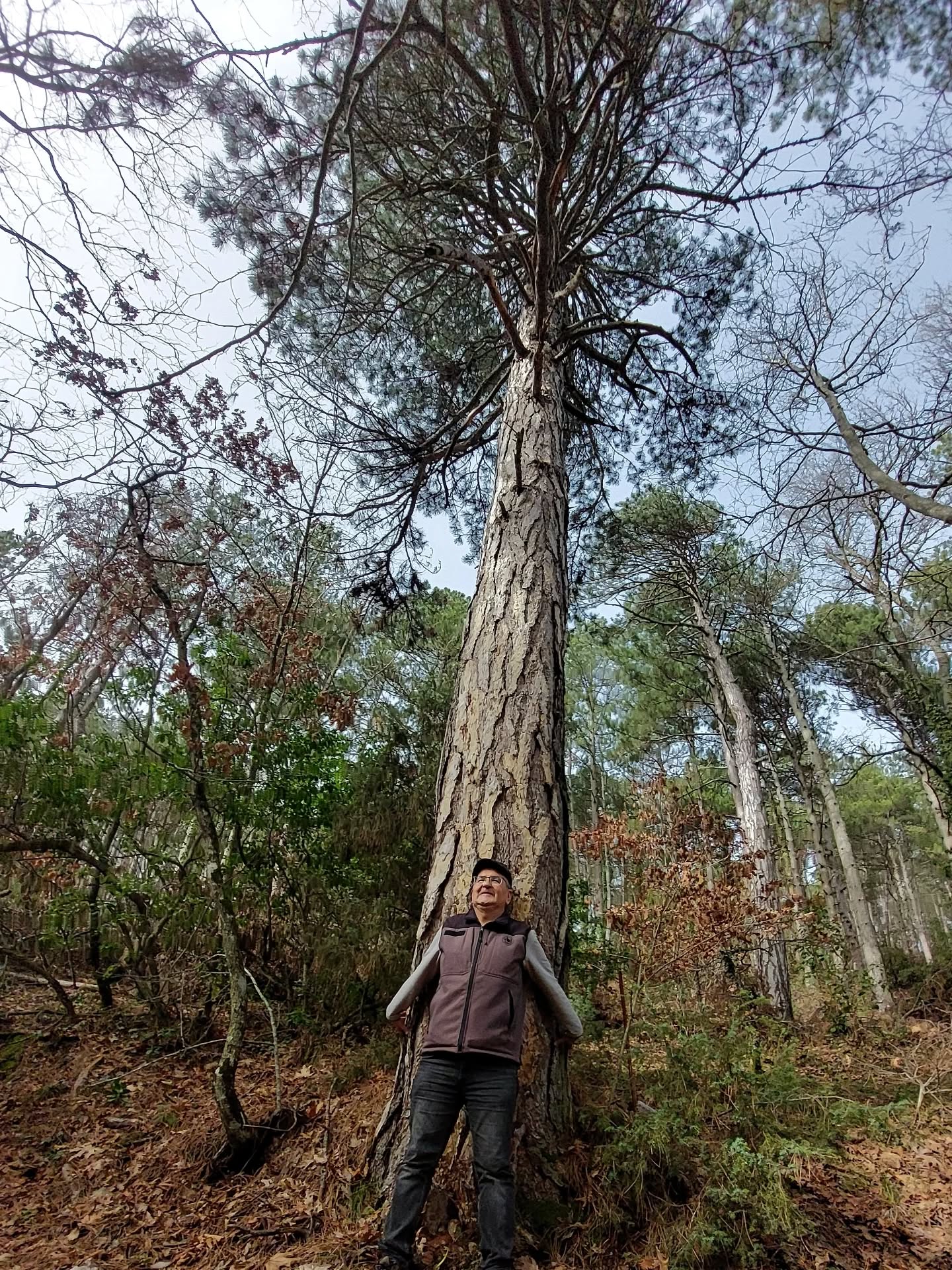 634853482 18570416020039216 6574384719632769201 N