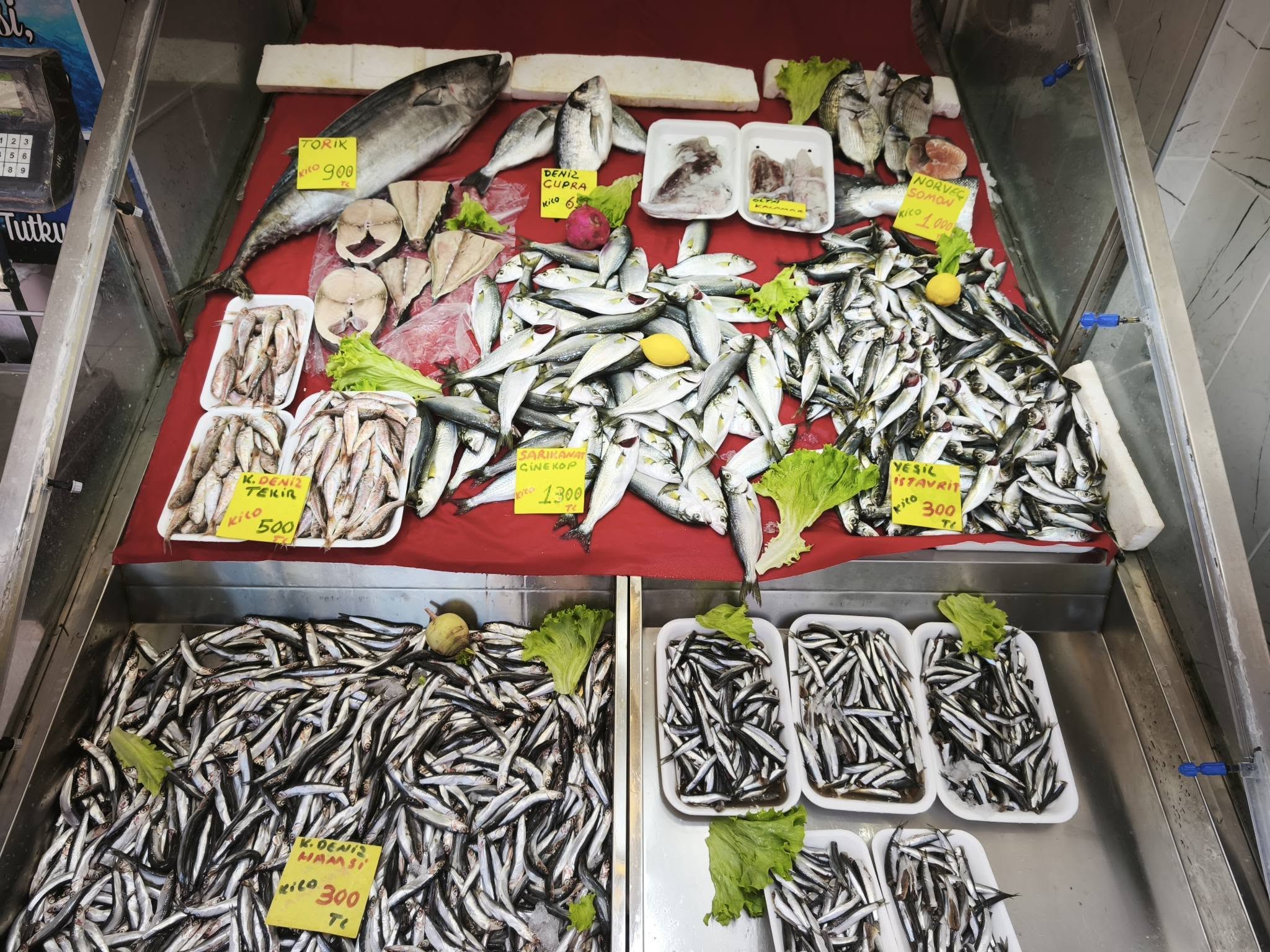 636788867 1263835585880608 4627503245585403401 N