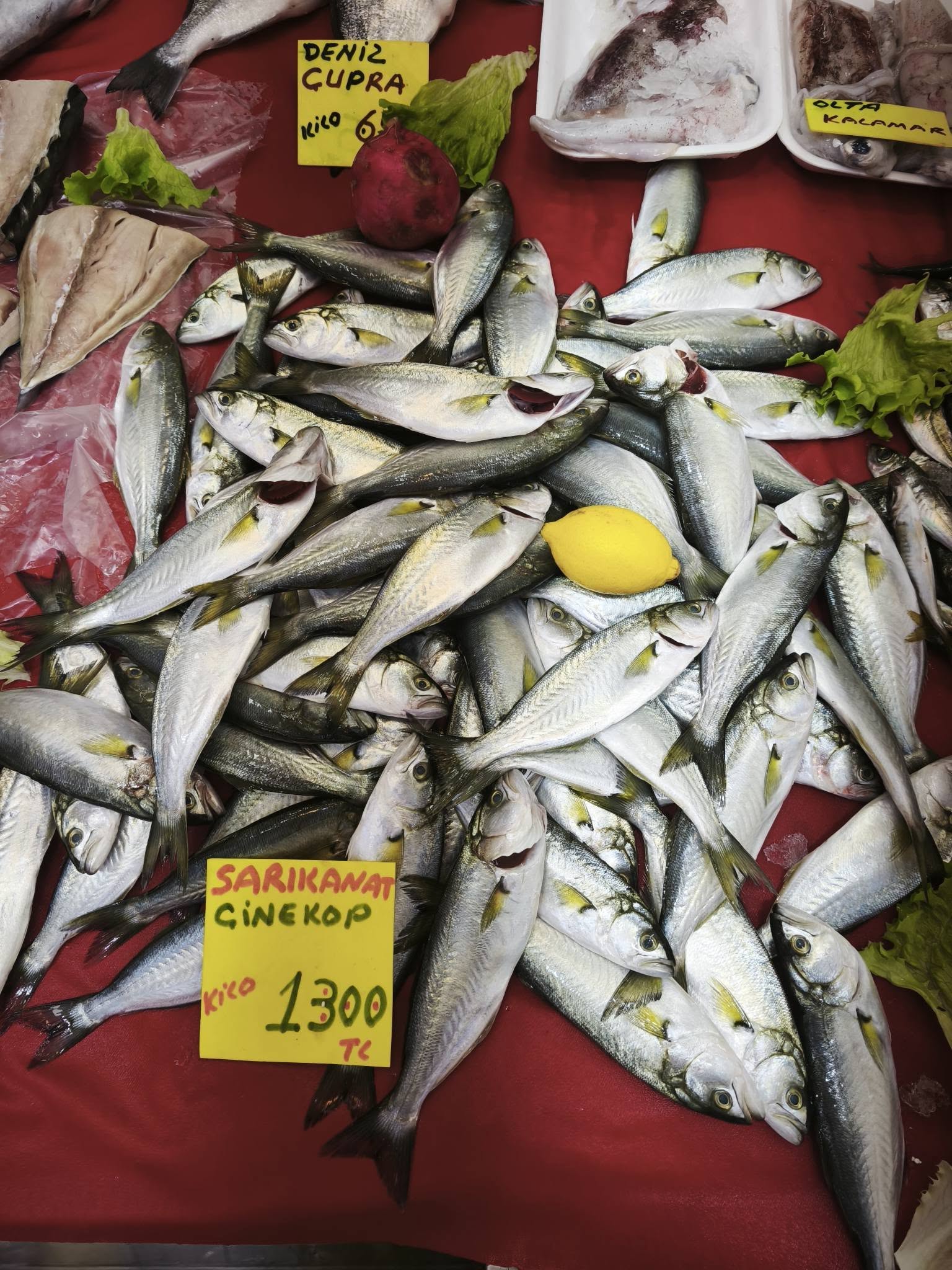 637124315 1263835639213936 6994174089966622160 N