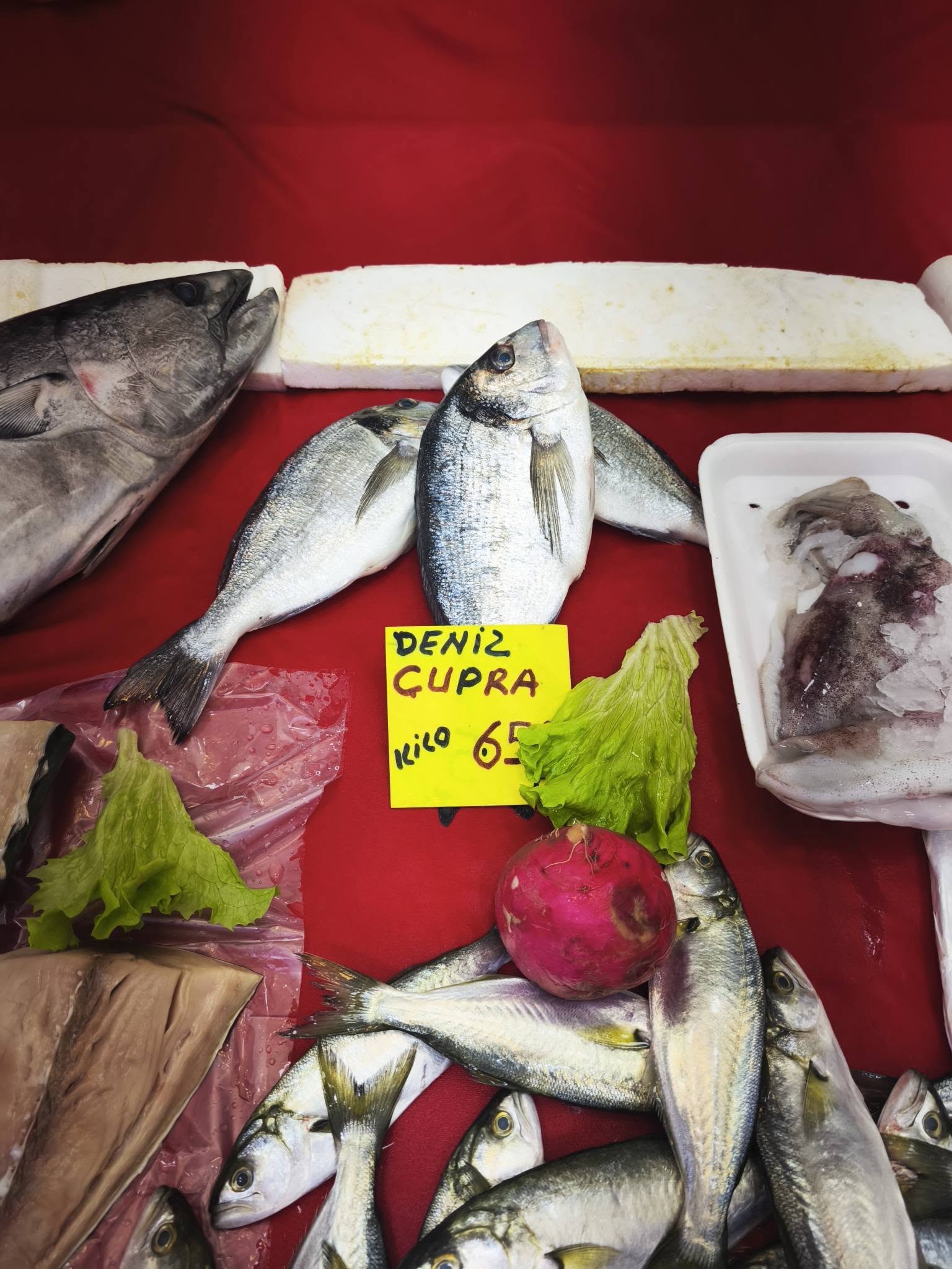 637278449 1263835795880587 6286233610535713705 N