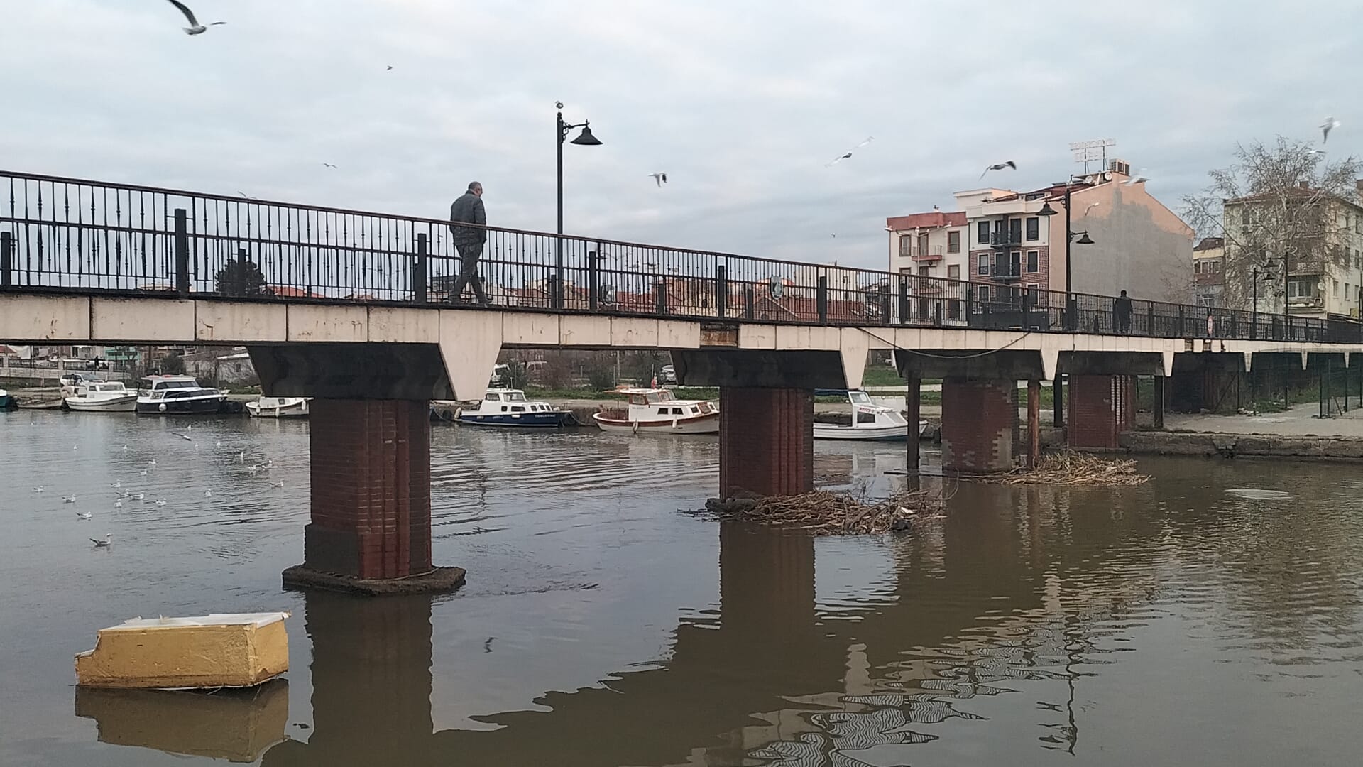 6Ac8Fb73 6D16 498C 9A3A 0Fd7888F932E