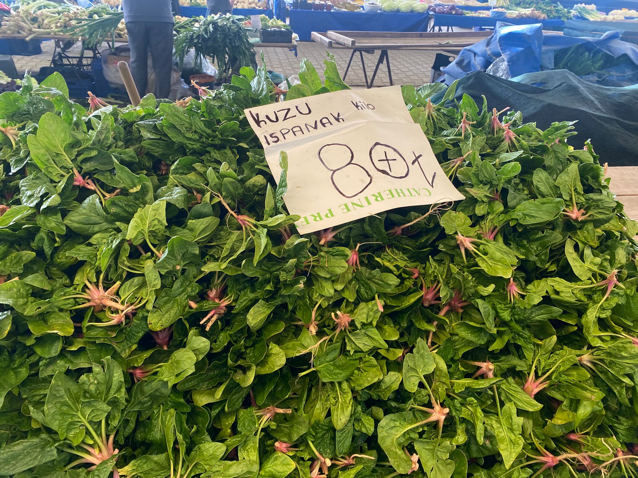 A3E3C24E 3Cde 4E24 Bfb8 Cfe84E5Ab789