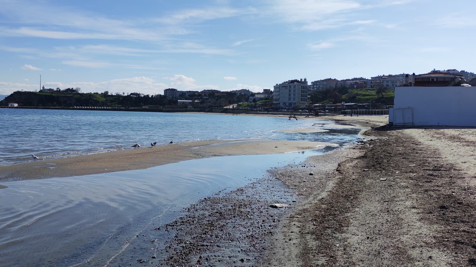 Ac6Bcf05 B4F9 4F02 A2Cd 38Aaae64C842