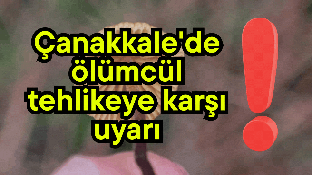 Çanakkale'de ölümcül tehlikeye karşı uyarı!