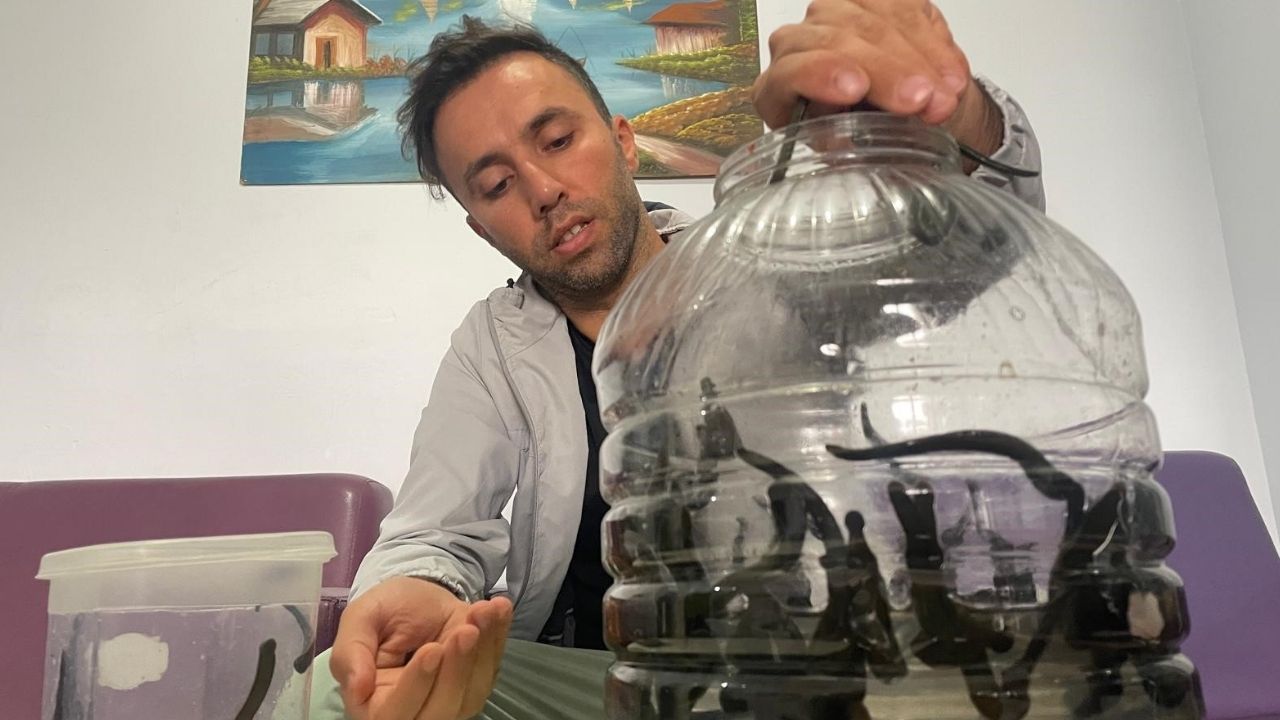 Bir Başlık Ekleyin (2)-499