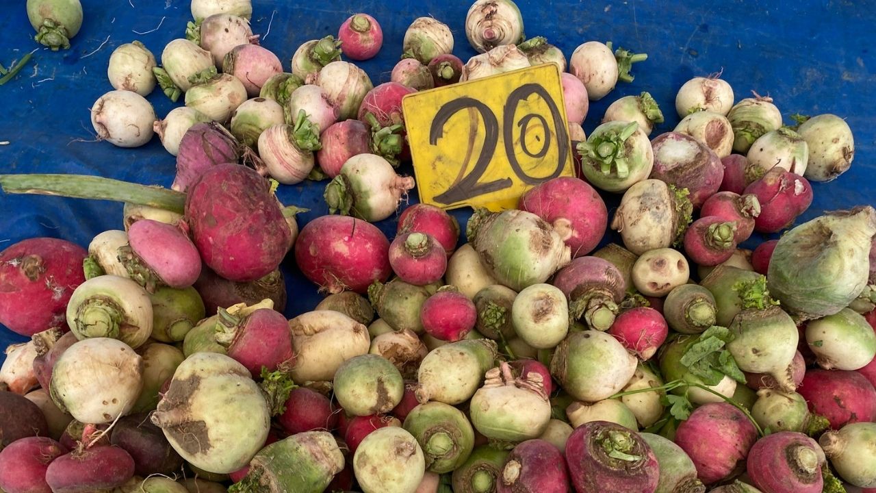 Bir Başlık Ekleyin (4)-327